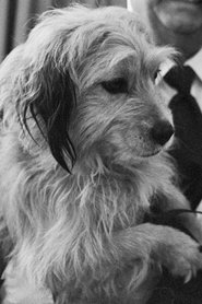 Benjean portrait