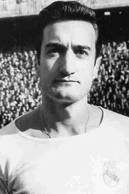 Ramón Marsal Ribó portrait