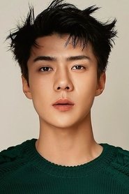Sehun portrait