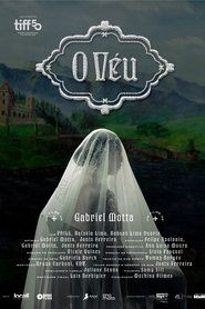 The Veil poster