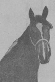 Fay Scott portrait