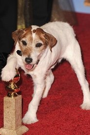 Uggie portrait