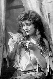 Beatriz Michelena portrait