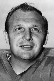 Joe Schmidt portrait