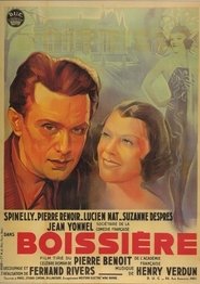 Movie Picture