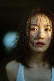 Wang Yi portrait