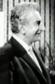 Nubar Kamçılı portrait