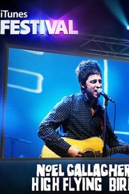 Noel Gallagher's High Flying Birds: iTunes Festival poster