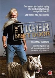 The Tiger Next Door poster