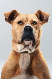 Bal portrait