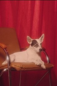 Ricotte portrait