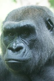 Triska portrait