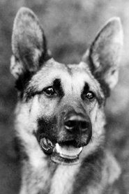 Strongheart portrait