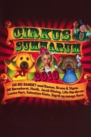 Cirkus Summarum 2010 poster