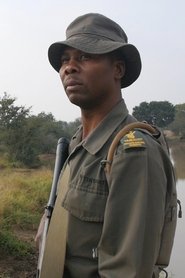 Anton Mzimba portrait
