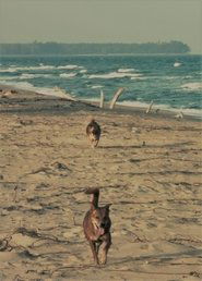 Movie Picture