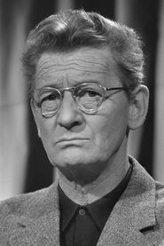 Simon Carmiggelt portrait