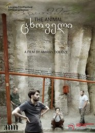 Movie Picture