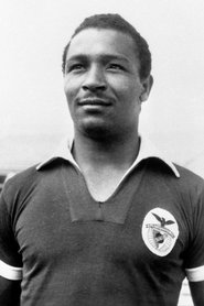 Mário Coluna