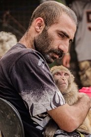 Abbas Imani portrait