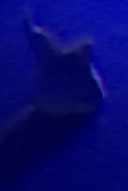 Tooth portrait