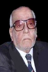 Hussein Afify portrait