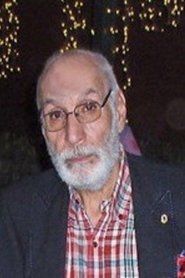Waheed El Dessoukey portrait