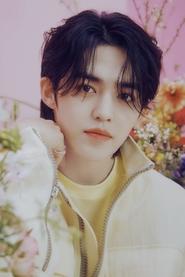 S.Coups portrait