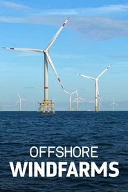 Windparks im Meer - Chance oder Risiko für die Natur?