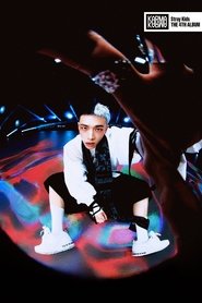 Hyunjin portrait