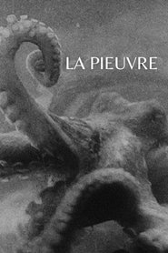 The Octopus