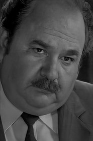 Vladimir Vostrikov portrait