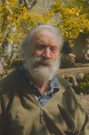Bruno Petretto portrait