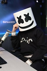 Marshmello portrait