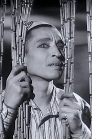 Mounir ElFangary portrait
