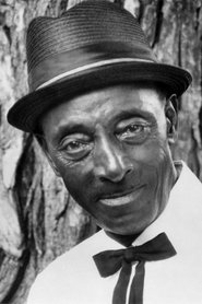 Fred McDowell portrait