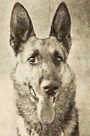 Thunder portrait