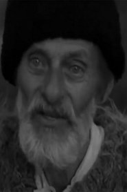 Nicolae Veniaș portrait