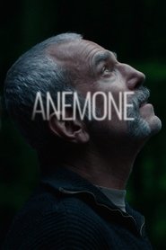 Anemone