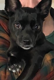 Bailey Cross-Gales portrait