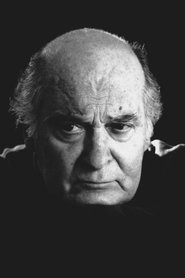 Turi Ferro portrait