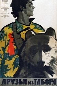 Movie Picture