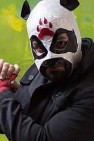 Super Panda portrait