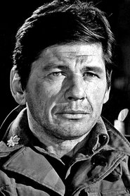 Charles Bronson portrait