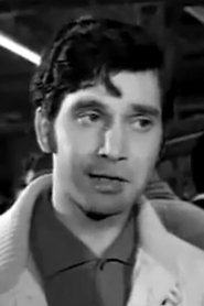 Vangelis Ploios portrait