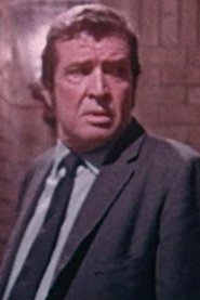Michael Harvey portrait