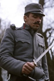 Zoltán Bezerédy portrait