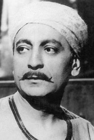 Mahmoud El Meligy portrait