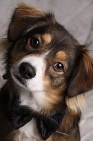 Lucky Hannah portrait
