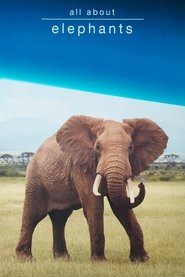 All About Elephants poster